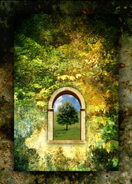 leaves window