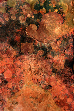 bahamas texture